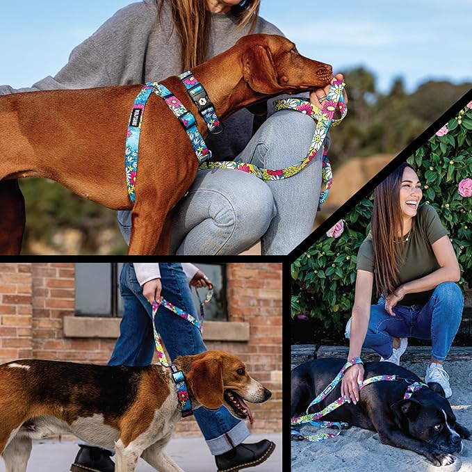 Wolfgang Heavy Duty Martingale Dog Collar with Quick Release Nylon Buckle for Walking & Training, LazyDaisy Print, X-Large