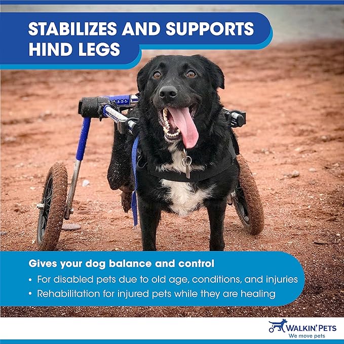 Walkin' Wheels Dog Wheelchair - for Med/Large Dogs 50-69 lbs - Veterinarian Approved - Dog Wheelchair for Back Legs