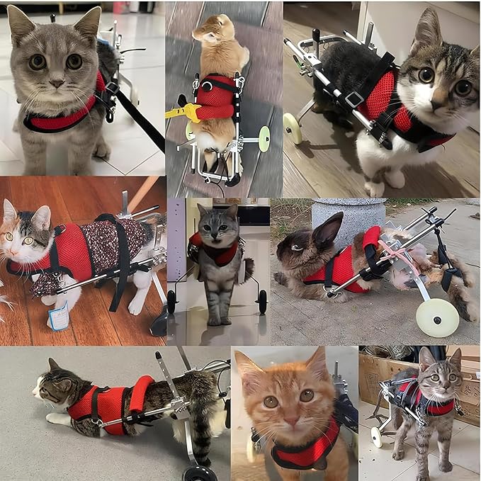 Cat Wheelchair Adjustable 2 Wheels Pet Wheelchair Lightweight Cat Support Wheels for Rehabilitation Aid for The Back Legs of Aging, Arthritic, Injured, Disabled, Weak Cats/Pets (M)