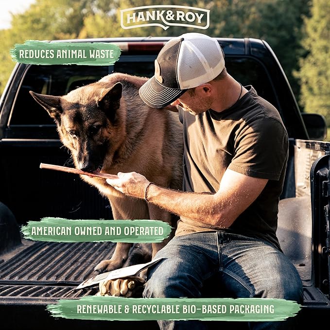 Hank & Roy All-Natural, Single-Ingredient Dog Bully Sticks, Long Lasting, Easily Digestible Dog Chews, Antibiotic and Hormone Free 12” Beef Pizzle Sticks for Dogs, Pack of 4