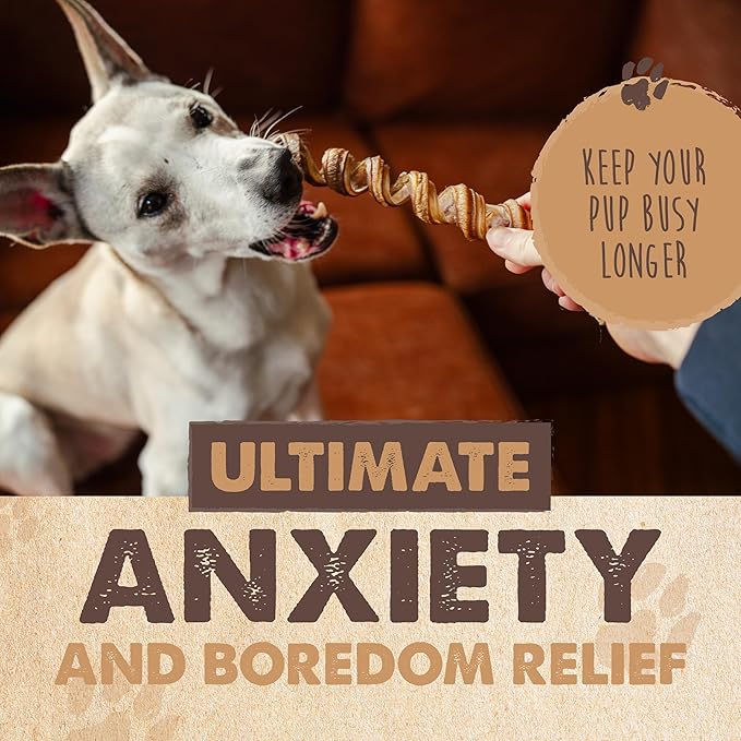 Mighty Paw Naturals Curly Bully Sticks for Dogs - Grass Fed Beef Dog Chews. Bully Sticks for Large Pets, Medium, Small Breeds. Lower Odor Treats for Small Pets. Single Ingredient 12”, 5 Pack