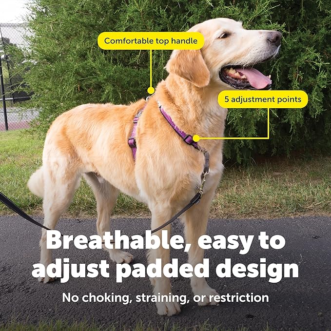 PetSafe 3-in-1 Harness - Comfortable Easy-Walk Dog Chest Harness with Front Leash Attachment to Reduce Pulling, Choking & Gagging - Dog Obedience Gear - Large - Plum