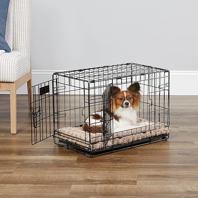 MidWest Homes for Pets 22-Inch Two-Door iCrate Folding Dog Crate with Divider Panel, Leak-Proof Tray & Secure Latches – Metal Wire Kennel for XS Breeds – Portable, Durable & Easy to Assemble