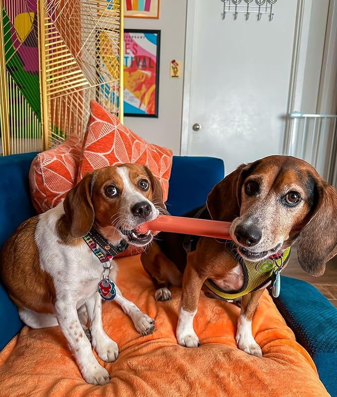 Nylabone Power Chew Classic Bone Chew Toy for Dogs, Durable Dog Toys for Aggressive Chewers, Bacon Flavor, Large/Giant - Up to 50 lbs. (1 Count)