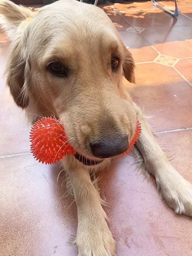 Jalousie Dog Squeaky Toys Value Set Non-Toxic Squeaky Balls Toss Fetch TPR Rubber Puppy Toys Spikey Dog Chew Toy for Small Medium Breed Pet Toys for Puppy (6 Pack Spiky Ball)