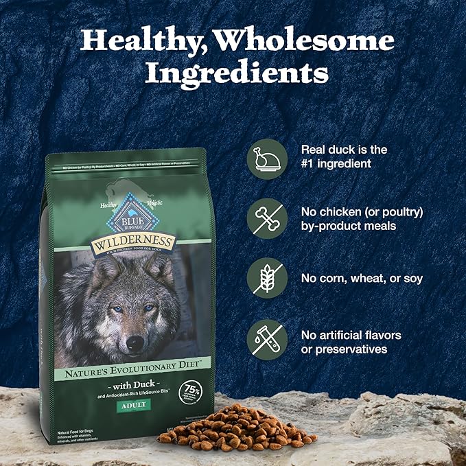 Blue Buffalo Wilderness Natural High-Protein Dry Food for Adult Dogs, WITH WHOLESOME GRAINS, Duck, 13-lb Bag
