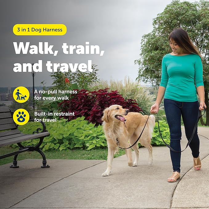 PetSafe 3-in-1 Harness - Comfortable Easy-Walk Dog Chest Harness with Front Leash Attachment to Reduce Pulling, Choking & Gagging - Dog Obedience Gear - Large - Black