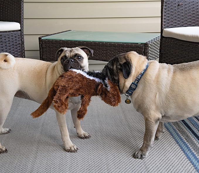 FGA MARKETPLACE Squirrel Flat NO Stuffing NO Squeak Plush Dog Toy, Funny Style Will Entertain Your Pet for Hours, Recommended for Small and Medium Dog 21 INCH Long