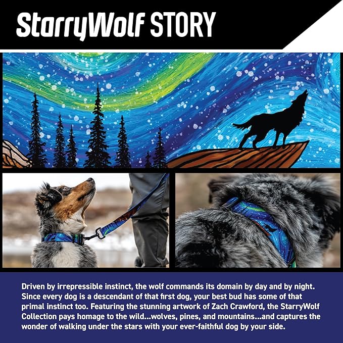 Wolfgang Heavy Duty Martingale Dog Collar with Quick Release Nylon Buckle for Walking & Training, StarryWolf Print