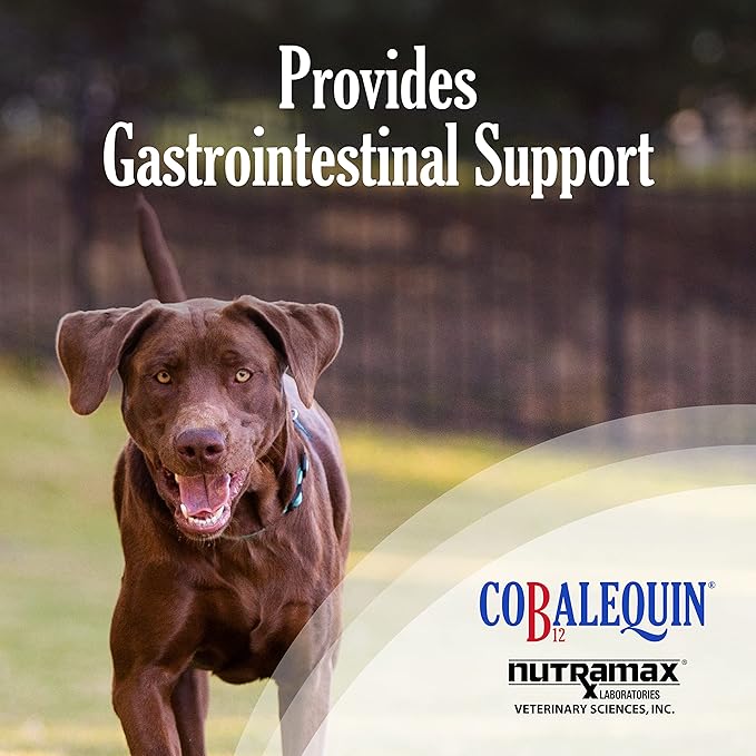 Nutramax Laboratories Cobalequin B12 Supplement for Medium to Large Dogs, 45 Chewable Tablets, Hydrolyzed Chicken, 2.08 ounces