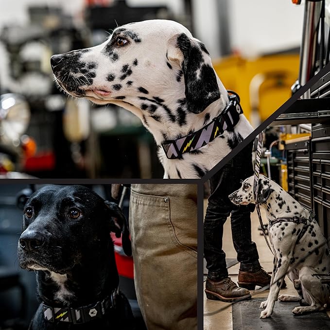 Wolfgang Heavy Duty Martingale Dog Collar with Quick Release Nylon Buckle for Walking & Training, DarkSkies Print, Large