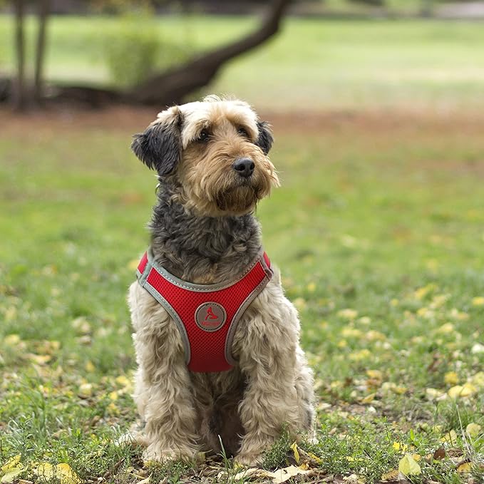 Dog Harness (Chest 13.5"-14.5", Weight 4–6 lbs) Athletica Adjustable Heavy Duty No Choke Puppy Vest for Small Dogs Lightweight Air Mesh, Reflective, Puppy Essentials – Orange, X-Small