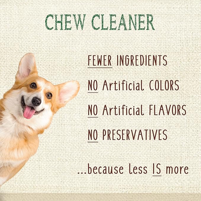 Nylabone Nutri Dent Dog Dental Chews - Natural Dog Teeth Cleaning & Breath Freshener - Dental Treats for Dogs - Fresh Breath Flavor, Mini (160 Count)