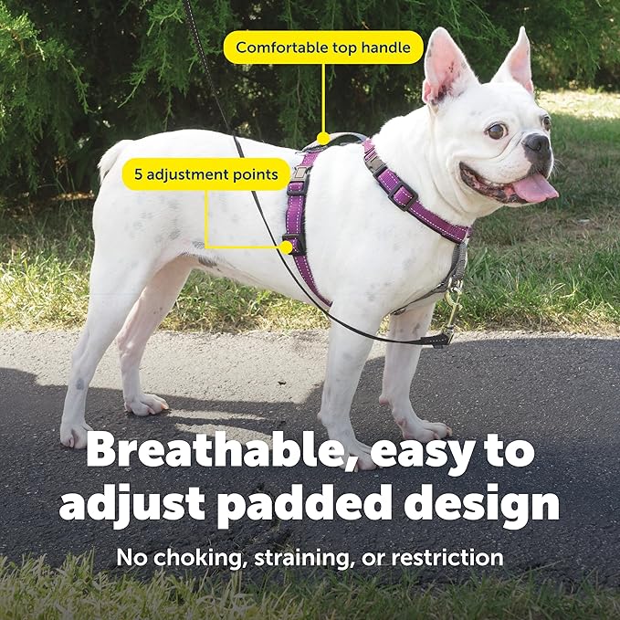 PetSafe 3 in 1 Dog Harness - No Pull Solution for Dogs - Reflective Dog Harness - Front D-Ring Clip Helps Stop Pulling - Comfortable Padded Straps - Top Handle Enhances Control - Plum - Small