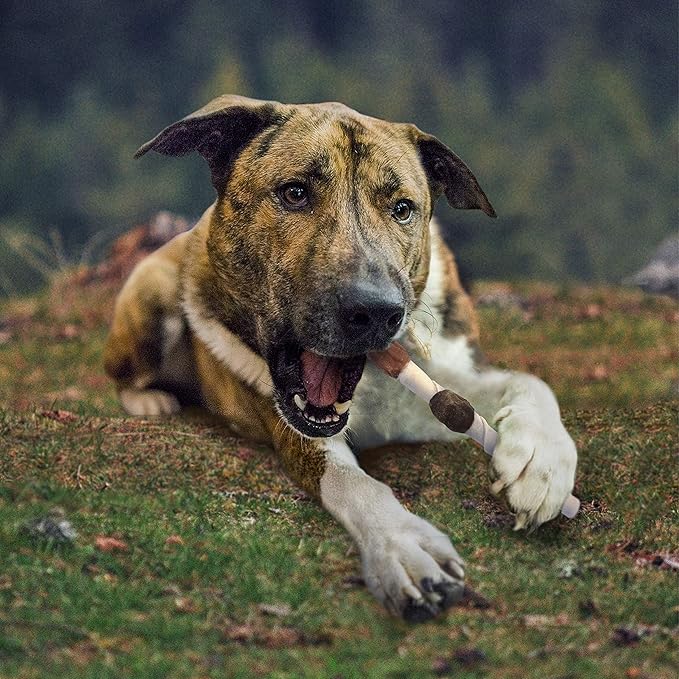 Cadet Gourmet Shish Kabob Dog Chews for Large Dogs, Rawhide Treats with Chicken and Sweet Potato, Healthy & Natural Beef Hide, 10-Inch Sticks, 2 Count