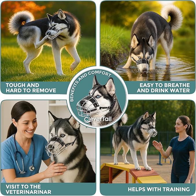 Metal Husky Muzzle for Large Sized Dog – Basket Muzzle for Dogs with Adjustable Leather Straps – Steel Cage Dog Muzzle to Prevent Biting and Eating – Mouth Guard for Large and Medium Dogs