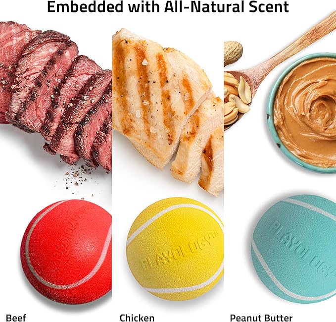 Playology Dog Toys | Rainbow of Scent Chew Toy Gift Box - Squeaky Chew Balls for Dogs | Peanut Butter, Chicken, & Beef Scented Toys - Easy to Clean and Made from Non Toxic Materials