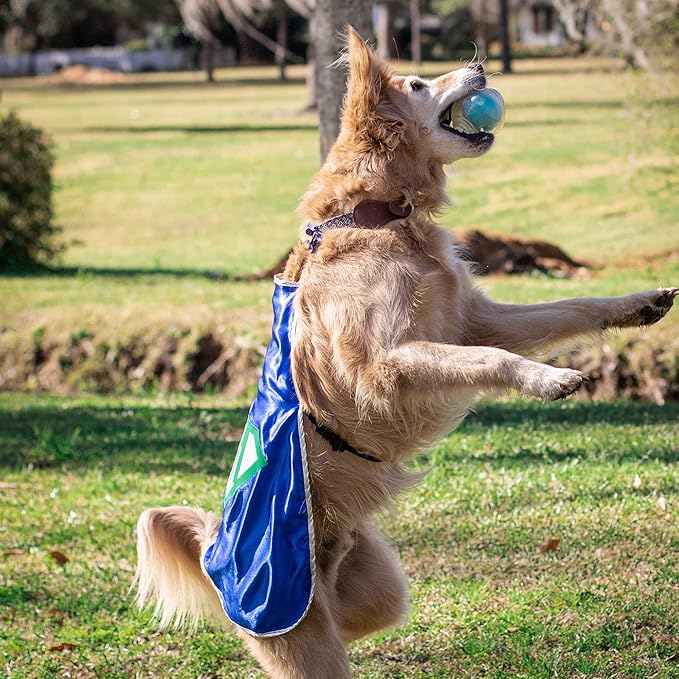 Everfan Personalized Dog Superhero Cape (X Large 25" Long (50-90 lbs), Yellow)