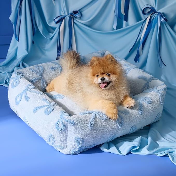 Lesure Cute Dog Bed for Small Dogs - Washable Puppy Beds,Cozy Rectangle Orthopedic Pet Sofa with Jacquard Shaggy Plush & Anti Slip Bottom,25x21x7inches