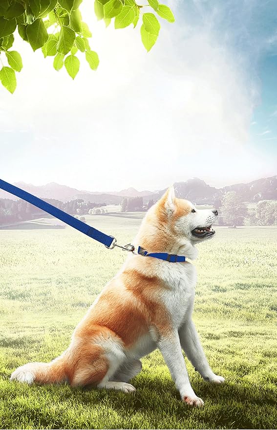 PETGOGO 15ft 20ft 30ft 40ft 50ft Long Dog/Puppy Lead Obedience Recall Training Dog Leashes for Small Medium Dogs Camping, Training, Play, or Backyard (15 FT, Blue)