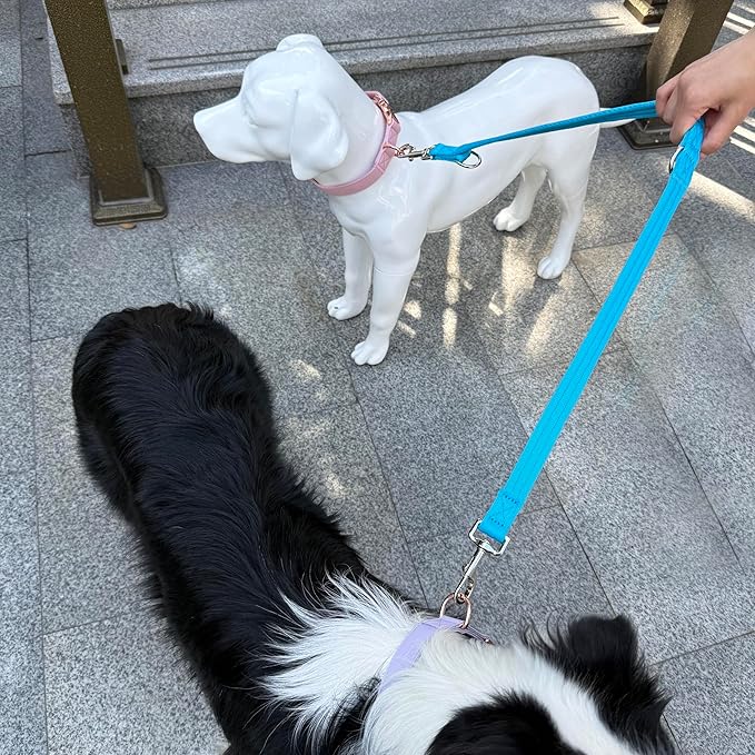Double Ended Dog Leash,for Obedience Training Easy to Use,Lightweight,Soft for Large and Medium Dogs (Blue, 1M*2.5CM)