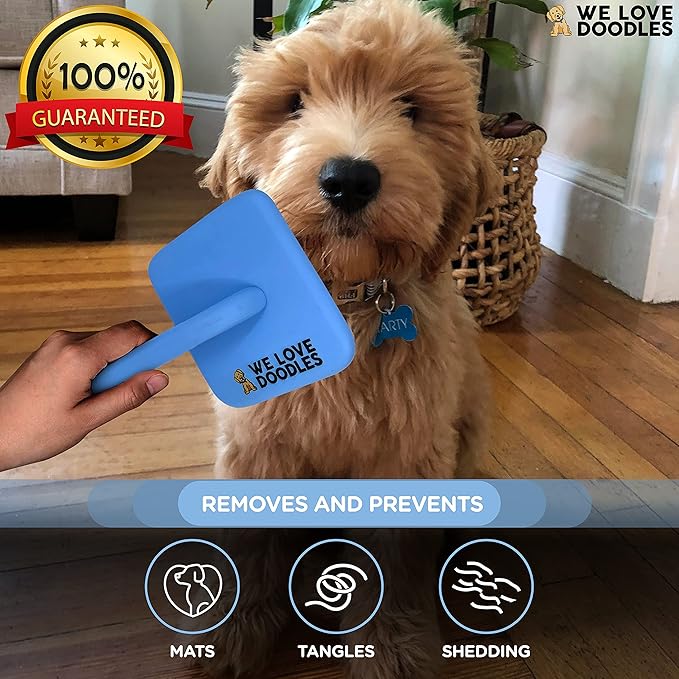 Slicker Brush for Dogs, Dog Grooming Supplies - Best Doodle & Poodle Brush for Long Haired Dogs - Goldendoodle Long Pin Detangler For Dematting (Large Curved)