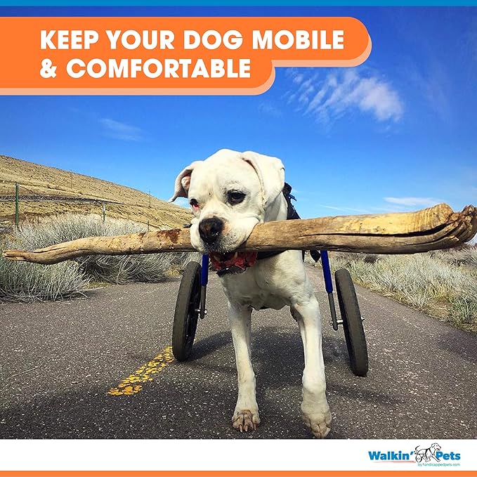 Walkin' Wheels Dog Wheelchair - for Large Dogs 70-180 Pounds - Veterinarian Approved - Dog Wheelchair for Back Legs