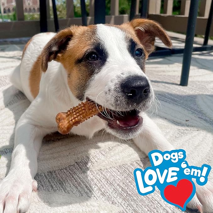 Nylabone Nubz Natural Dog Chew Treats for Large Dogs, Long Lasting Dog Bones Made in USA, Chicken Flavor Breath Freshener Dental Chews, for Dogs Up to 50 lbs. (20 Count)