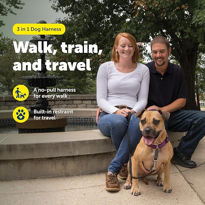 PetSafe 3-in-1 Harness - Comfortable Easy-Walk Dog Chest Harness with Front Leash Attachment to Reduce Pulling, Choking & Gagging - Dog Obedience Gear - Medium - Plum