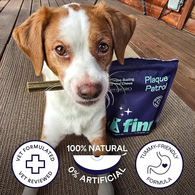 Finn Plaque Patrol Dental Chews (XS/S Dogs (20 Count))