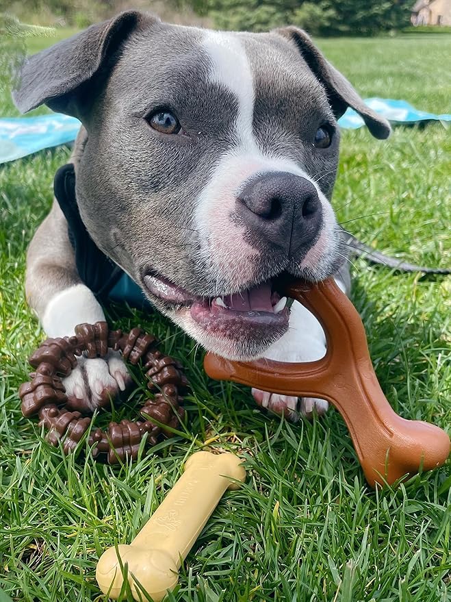 Nylabone Power Chew Customer Favorites Bundle, Tough Dog Toys for Aggressive Chewers, Christmas Dog Toy & Thanksgiving Dog Toys, Small Dogs - Up to 25 lbs (3 Pack)