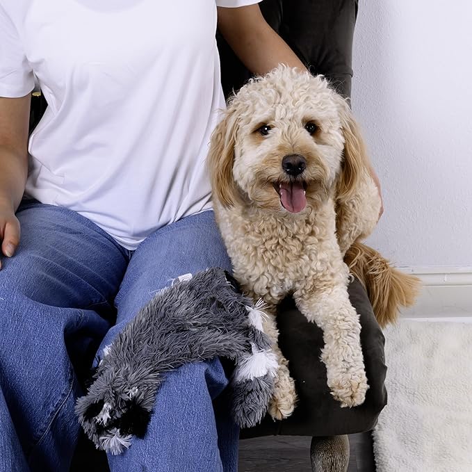 FGA MARKETPLACE Racoon-Squirrel Flat NO Stuffing NO Squeak Plush Dog Toy, Funny Style Will Entertain Your Pet for Hours, Recommended for Small and Medium Dog 21 INCH Long