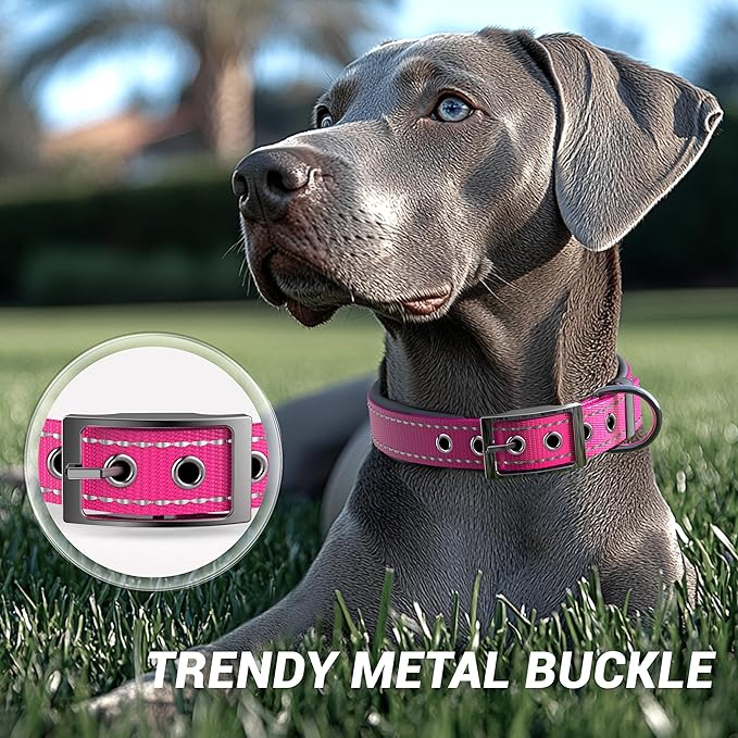 Personalized Dog Collar with Name & Phone Number | Reflective Ultra Wide Soft Neoprene Padded | Durable Metal Buckle for Large, Medium, and Small Dogs in Pink, Purple, Blue & Other Stylish Colors
