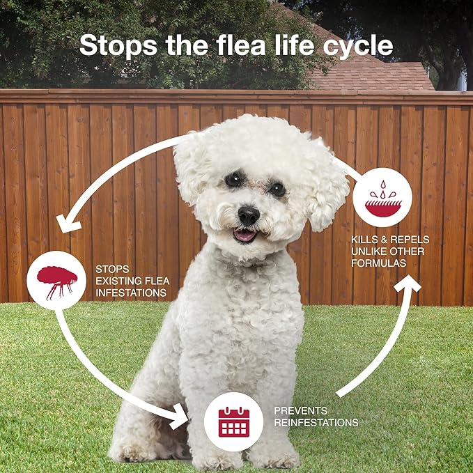 K9 Advantix II Small Dog Vet-Recommended Flea, Tick & Mosquito Treatment & Prevention | Dogs 4-10 lbs. | 6-Mo Supply