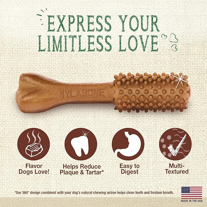 Nylabone Nutri Dent Dog Dental Chews - Natural Dog Teeth Cleaning & Breath Freshener - Dental Treats for Dogs - Filet Mignon Flavor, Large (20 Count)