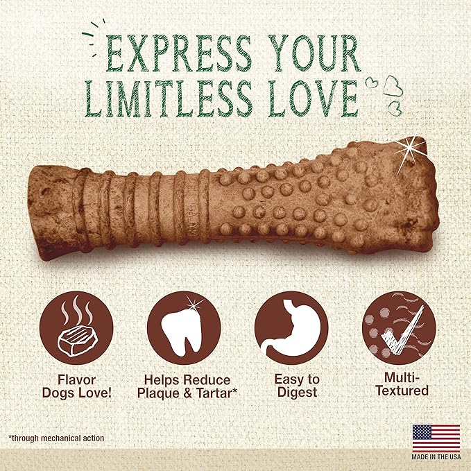 Nylabone Nutri Dent Dog Dental Chews - Natural Dog Teeth Cleaning & Breath Freshener - Dental Treats for Dogs - Filet Mignon Flavor, X-Large (1 Count)