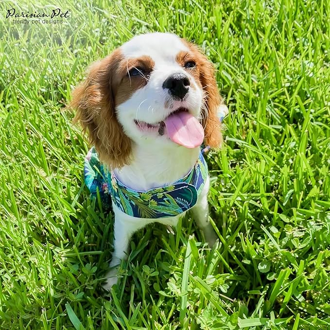 Parisian Pet Amazonia Leafy Dog Summer Dress by Magic Strap Closure for Large Dogs Girl