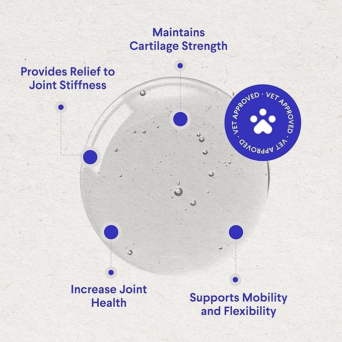 WONDER PAWS Premium Liquid Glucosamine for Dogs Strength Joint Support, Flexibility, Cartilage & Mobility - Hip and Joint Supplement with Chondroitin, MSM, Collagen & Hyaluronic Acid (32 Oz)