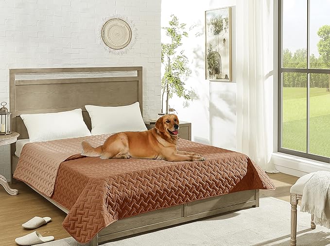 gogobunny 100% Double Sided Waterproof Dog Blanket Soft Pet Bed Cover Reversible Protect Furniture Couch Sofa Car for Puppy Cat Kids (Dark Pumpkin/Light Pumpkin, 82x102 Inch (Pack of 1))