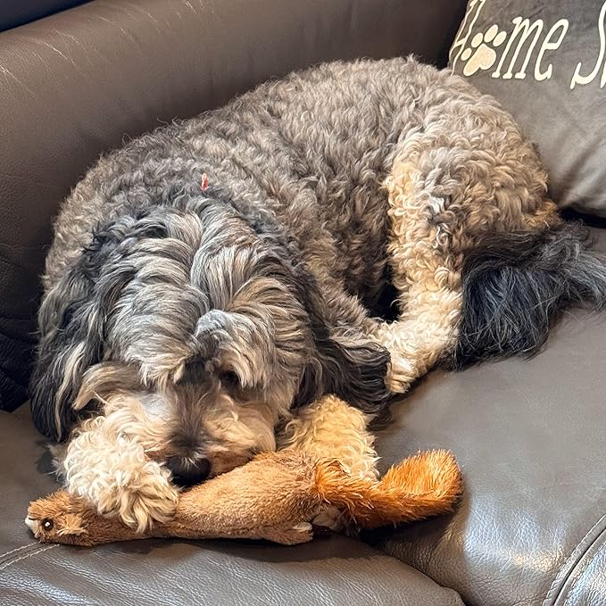 SPOT Skinneeez Plus Squirrel - Stuffing Free Dog Toy with Two Piece Rubber Body and Two Squeakers, Fun to Bite, Stuffingless Design is Great for Moderate Chewers, Tug Toy for Puppies & Dogs - 15in