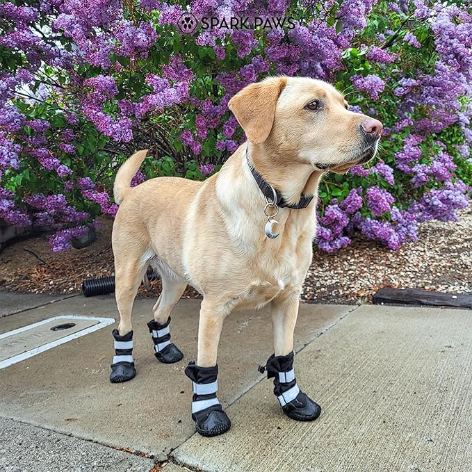 Spark Paws Dog Shoes, Waterproof Dog Boots for Medium to Large Dogs, Non Slip, Breathable Dog Booties and Paw Protectors - 4PCS Doggie Hiking Boots with Reflective Straps - Black, Size 8