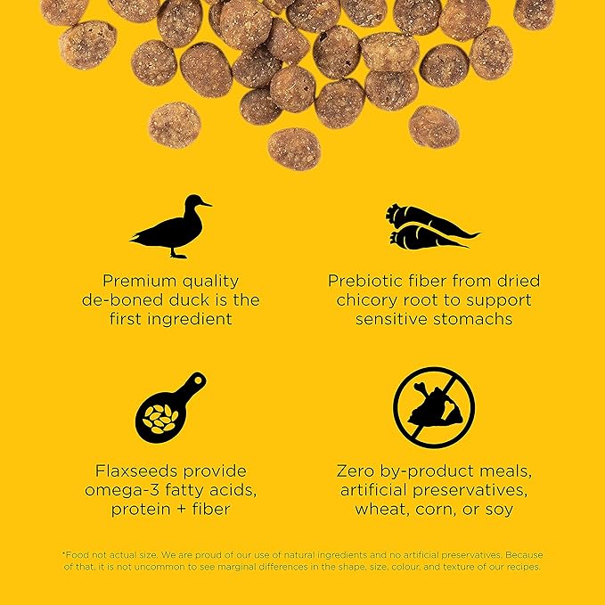 Go! Solutions Sensitivities Limited Ingredient, Grain-Free Dry Cat Food, Duck Recipe for Sensitive Stomach, 16 lb Bag