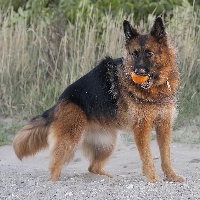 Chew King 3 Inch Bacon Flavor Rubber Balls 2 Pack