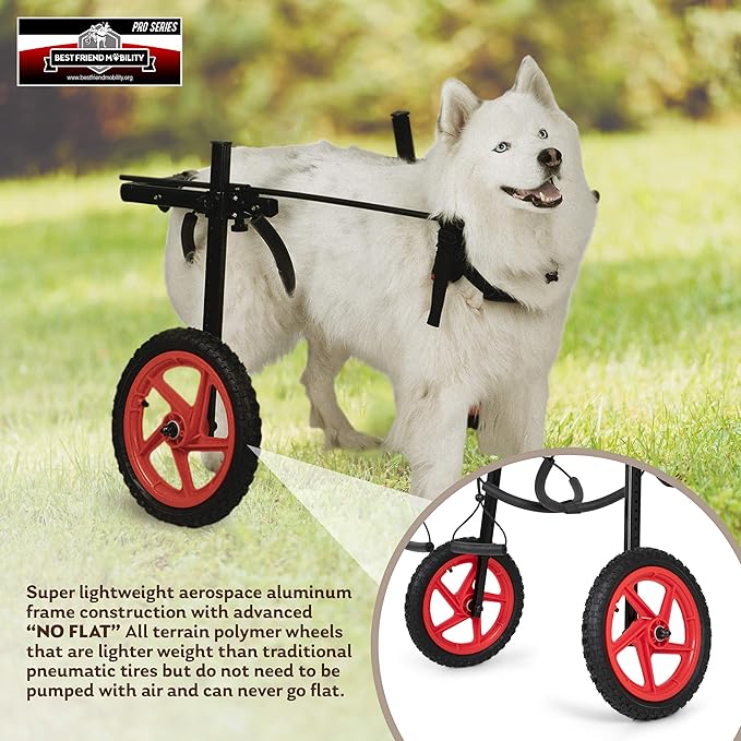 PRO Dog Wheelchair for Back Legs - Adjustable Dog Cart - Medium to XL Sizes - Hind Leg Wheels for Mobility & Healing