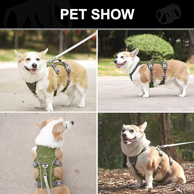 Escape Proof Dog Harness with Handle - Reflective No Pull Dog Vest, Lightweight Full Body Pet Harness Adjustable for Small Dogs Walking,Training(Blue,Chest:14-22")