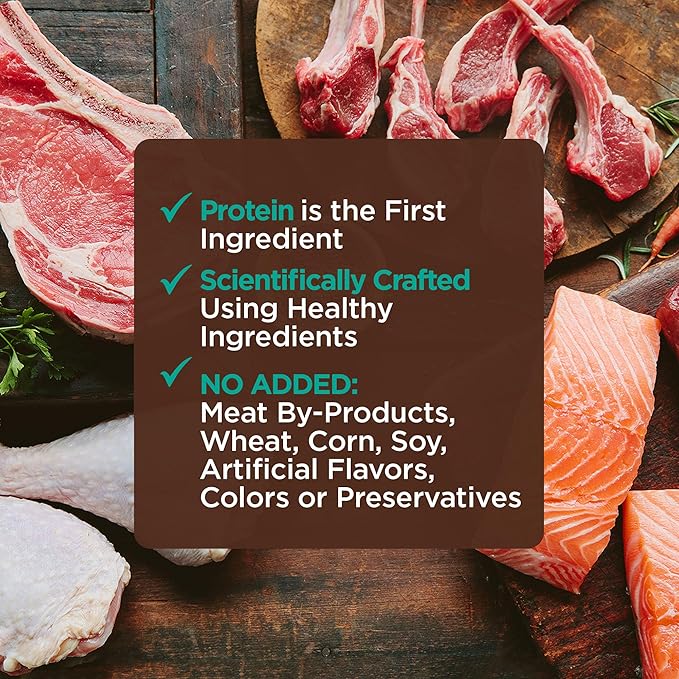 Wellness CORE Tiny Tasters Adult Wet Cat Food, Natural, Protein-Rich, Grain Free, 1.75-Ounce Pouch, 12 Pack, (Seafood & Poultry Variety Pack)