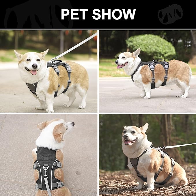 Escape Proof Dog Harness Small Sized Dog, Reflective No Pull Dog Vest with Handle, Lightweight Full Body Pet Harness Adjustable for Walking,Training(Blue,Chest:16-27")