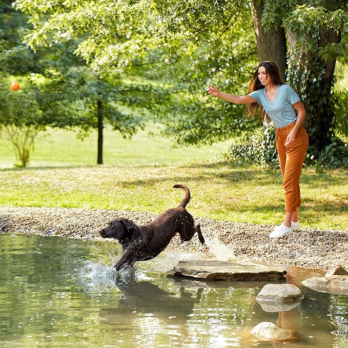 Nature's Recipe Grain Free Dry Dog Food, Chicken, Sweet Potato & Pumpkin Recipe, 12 lb. Bag