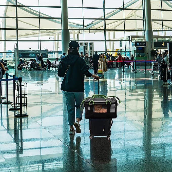 | TSA Airline Approved |Soft Sided Pet Carrier | Cat Carrier | Dog Carrier| Pets Up to 15 lbs | Leash & Luggage Strap | Black with Green Handle