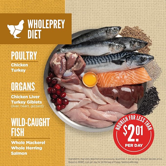 ORIJEN Amazing Grains High Protein Dry Dog Food Puppy Recipe 4lb Bag